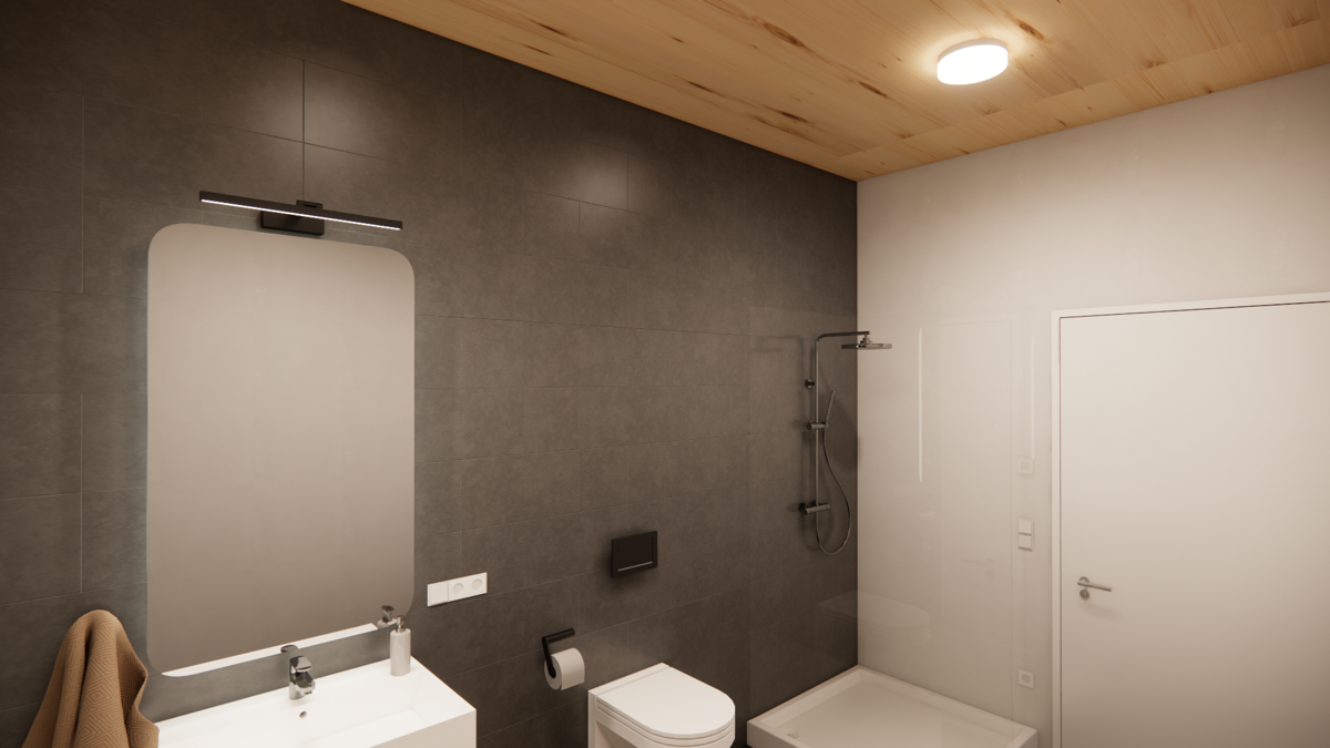 WC mit Dusche (visualisiert) WC mit Dusche (visualisiert)