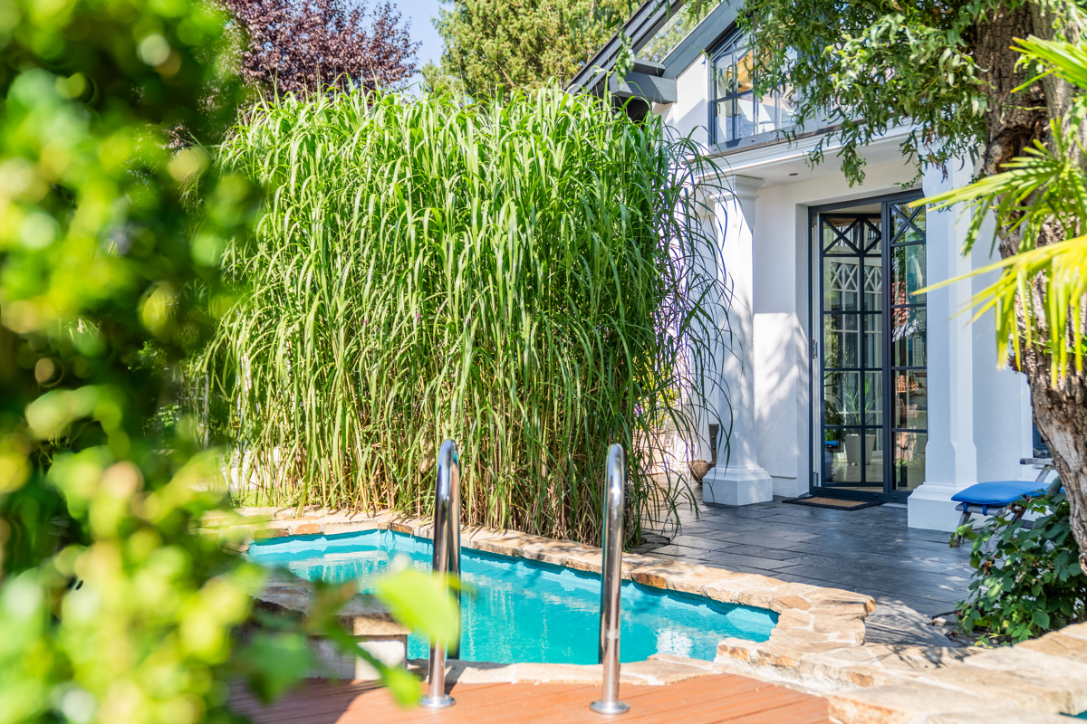 Hochwertige Gartengestaltung