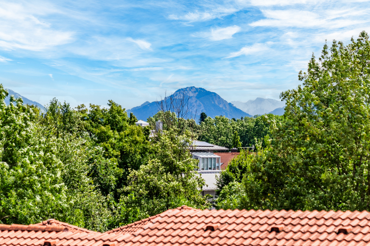Ausblick