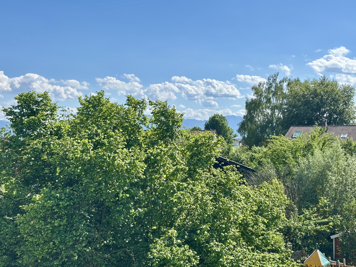 Blick DG